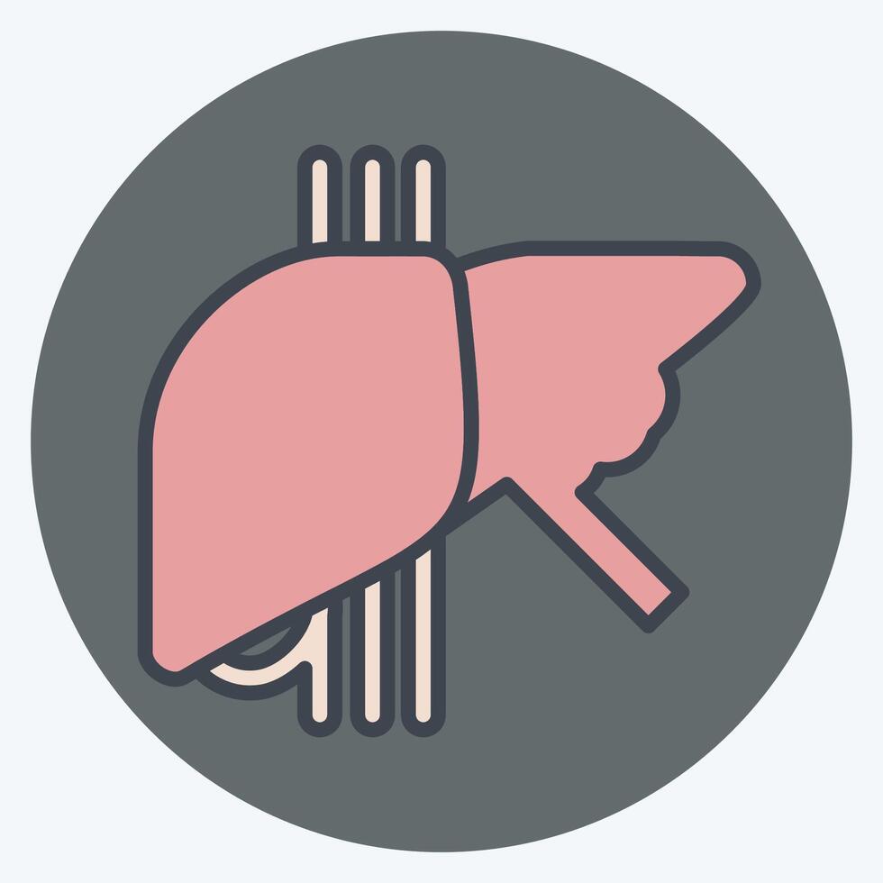 icono sano hígado. relacionado a hepatólogo símbolo. color compañero estilo. sencillo diseño editable. sencillo ilustración vector