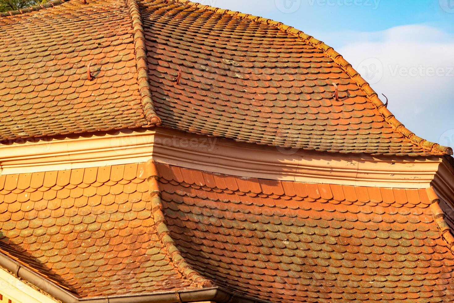 red tiled roof photo