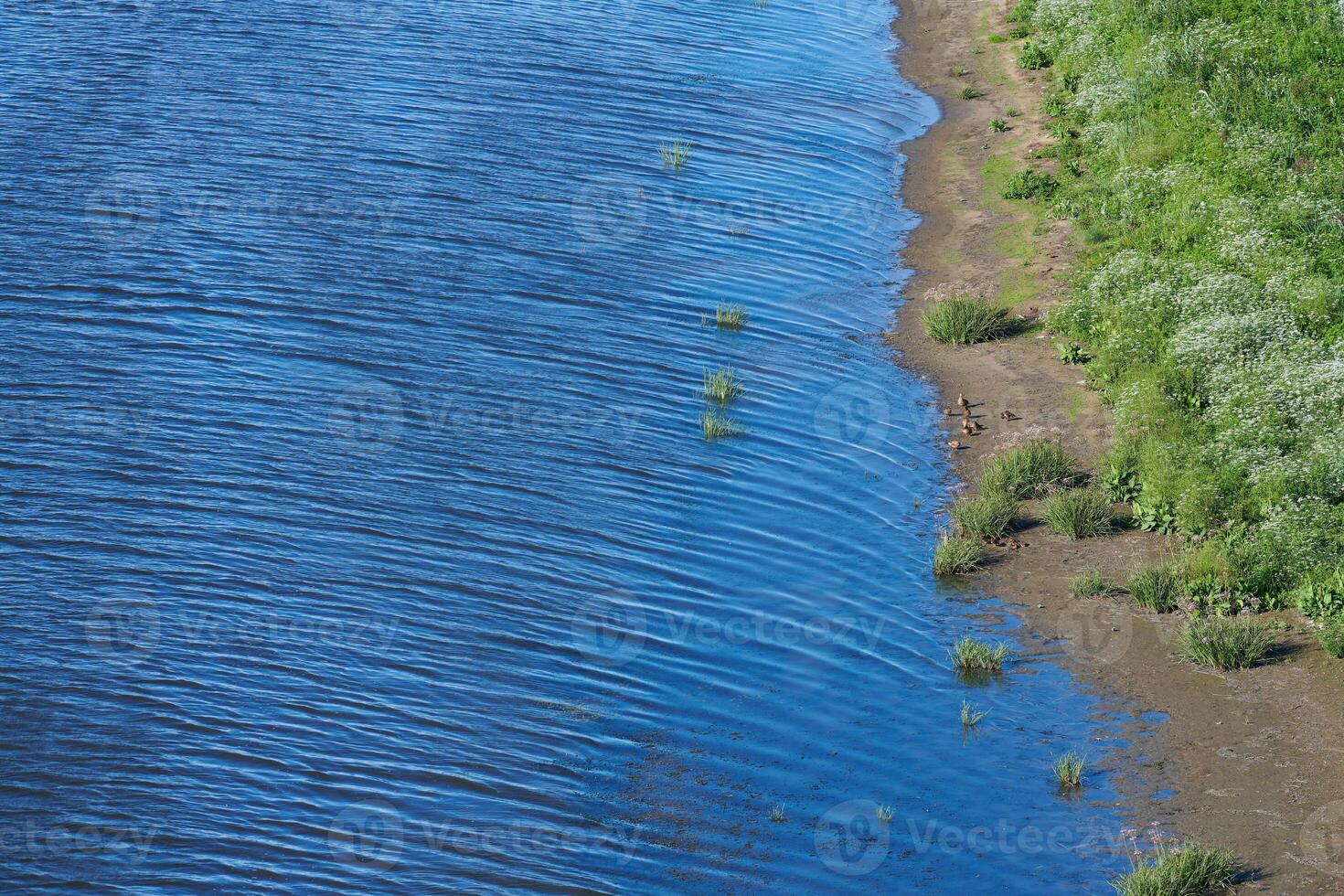 Coast of sea island edge, aerial top view. Densely green jungle peninsula, copy space. Pure, clean and calm blue water. Virgin nature. photo