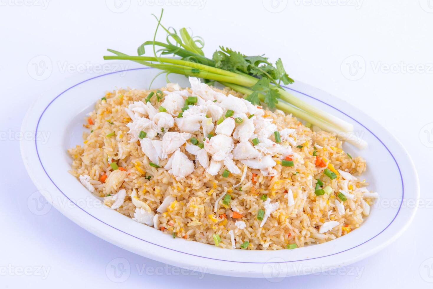 el mejor tailandés comida platos usted debe comer. cangrejo frito arroz en el blanco plato. foto