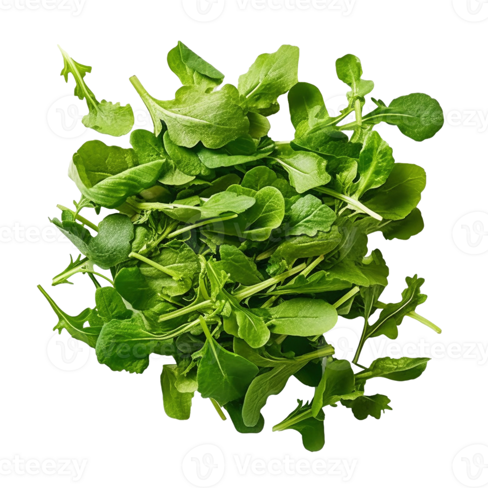 AI generated Plethora of Vibrant Green Arugula Spice Leaves Created With Generative AI Technology png