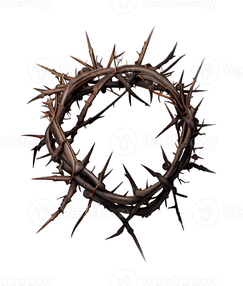 AI generated Close Up of a Crown of Thorns on the Transparent Background Created With Generative AI Technology png