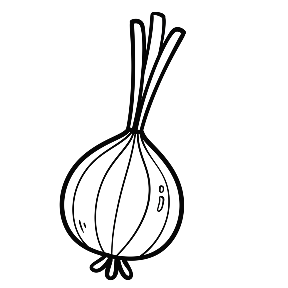 Outline doodle drawing of Onion png