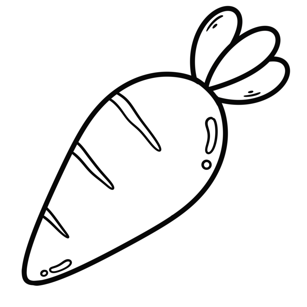 contour griffonnage dessin de une carotte png