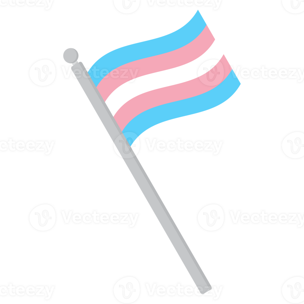 Transgender Pride Flag in shape. Trans Pride Flag. png