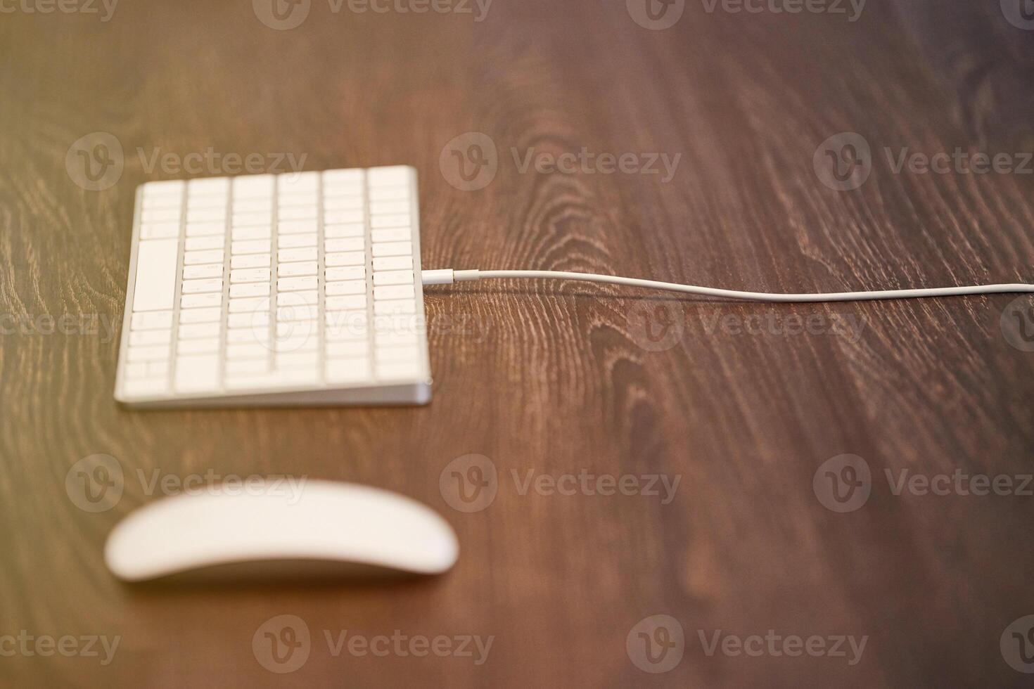 Keyboard and mouse on office table. Modern minimal workplace for study. Empty copy space. photo