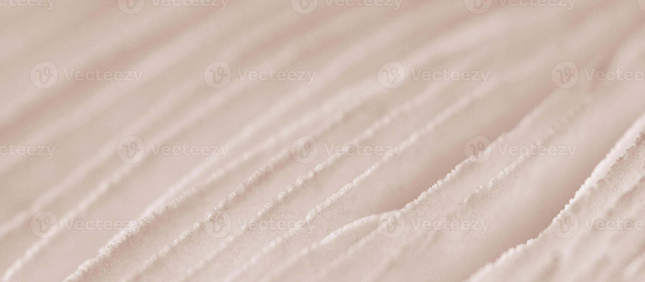 Agaric mushroom gills under cap macro close up photo, depth of field photography photo