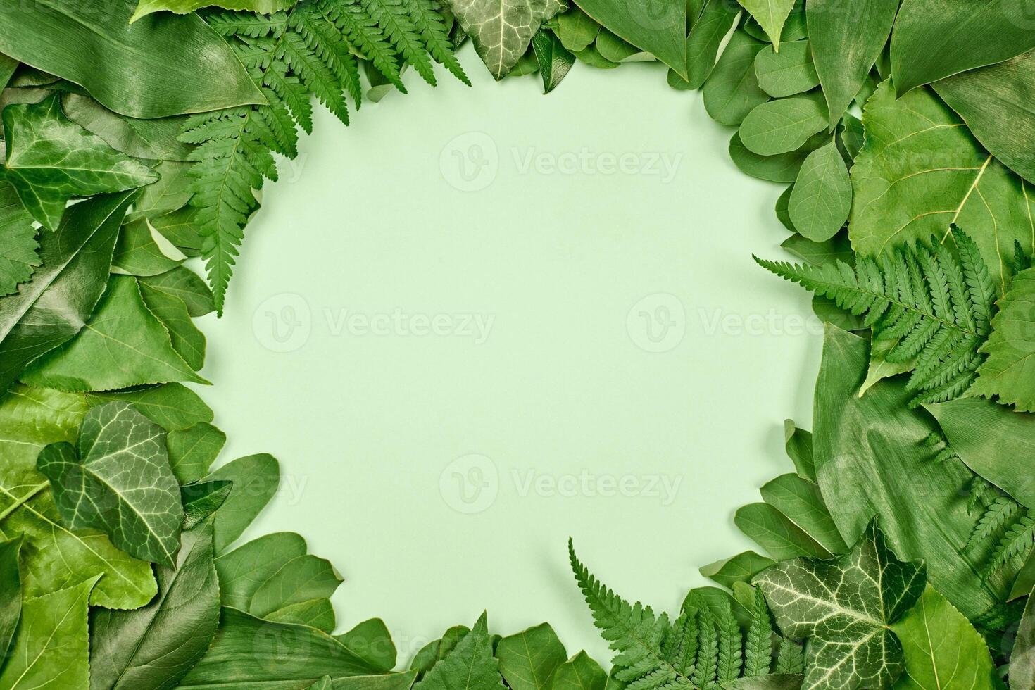 Green leaves circle frame with white empty copy space in center, flat lay top view photo