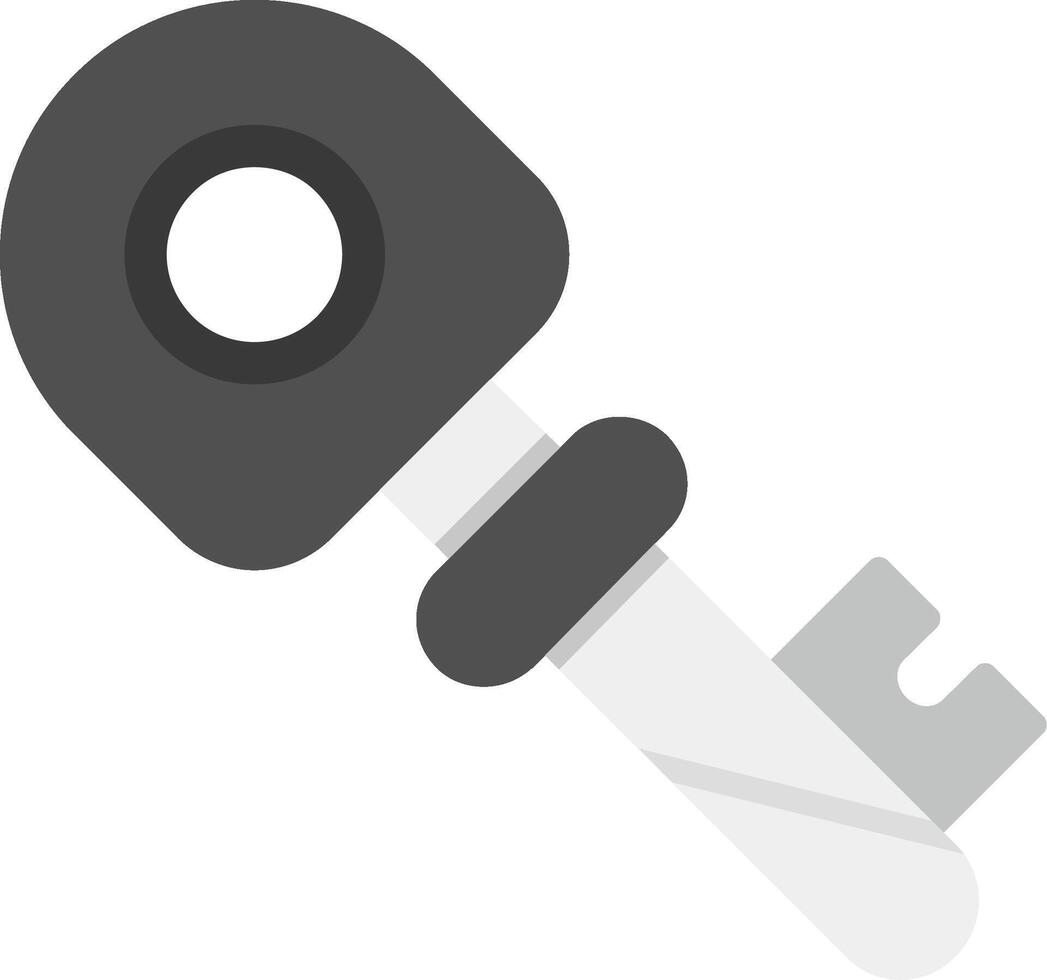 Key Vector Icon