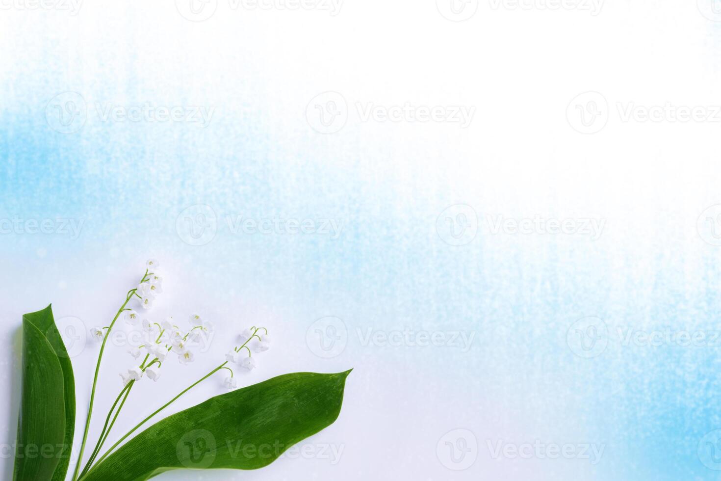 flowers lily of the valley on a light background. photo