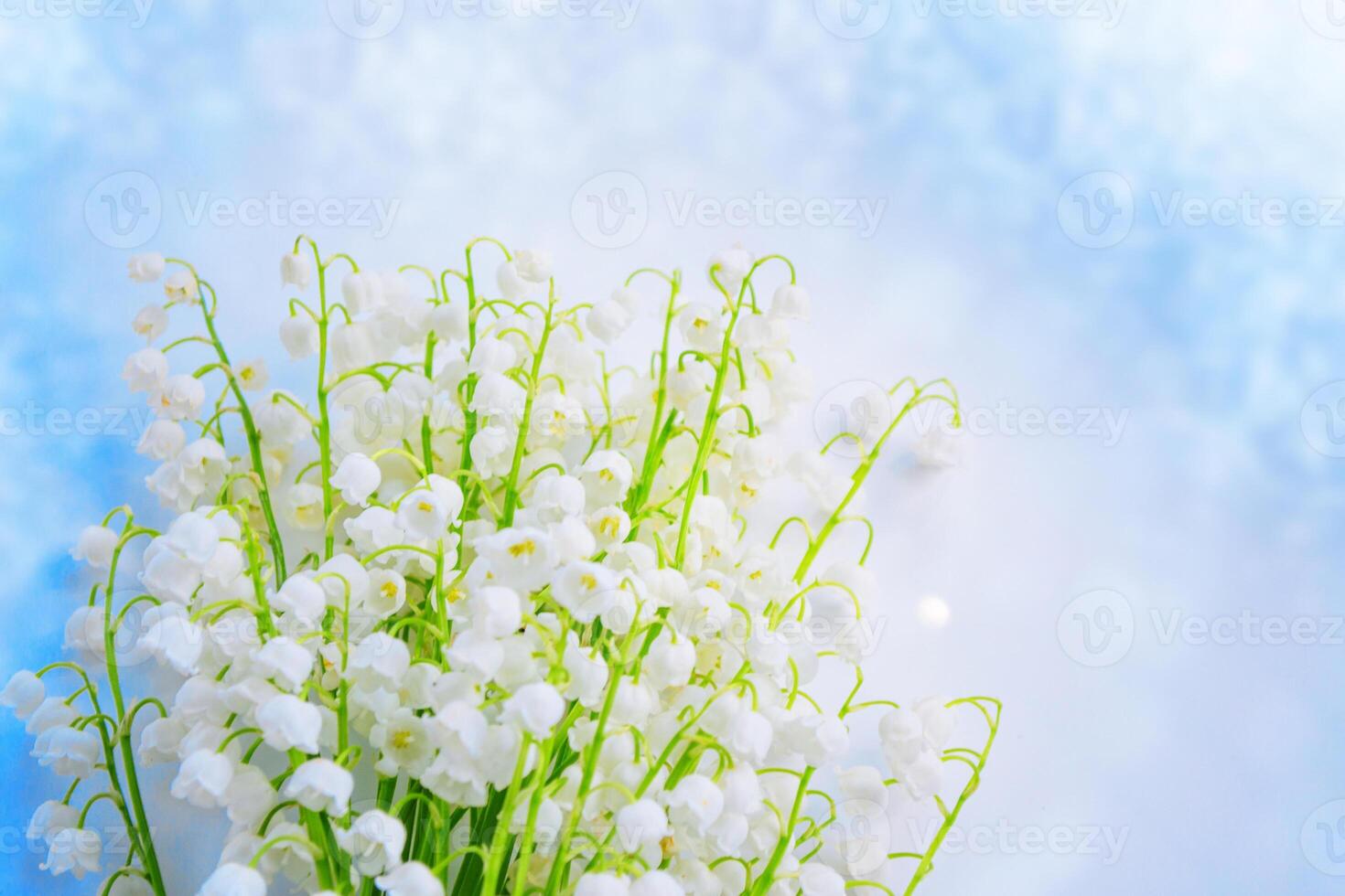 Blurred floral natural background. Soft focus. Spring landscape. flowers lily of the valley photo