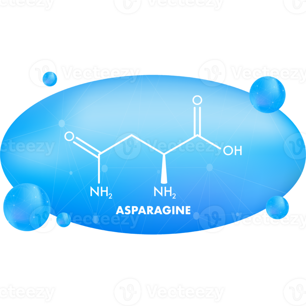 molekular Biologie. Asparagin L-Asparagin , asn, n Amino Acid Molekül. png