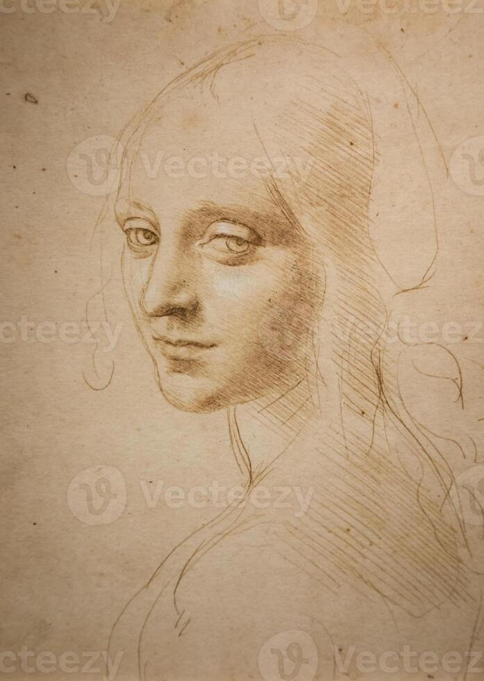 Leonardo da Vinci drawings on handmade cotton paper, Royal Library - Turin, Italy photo