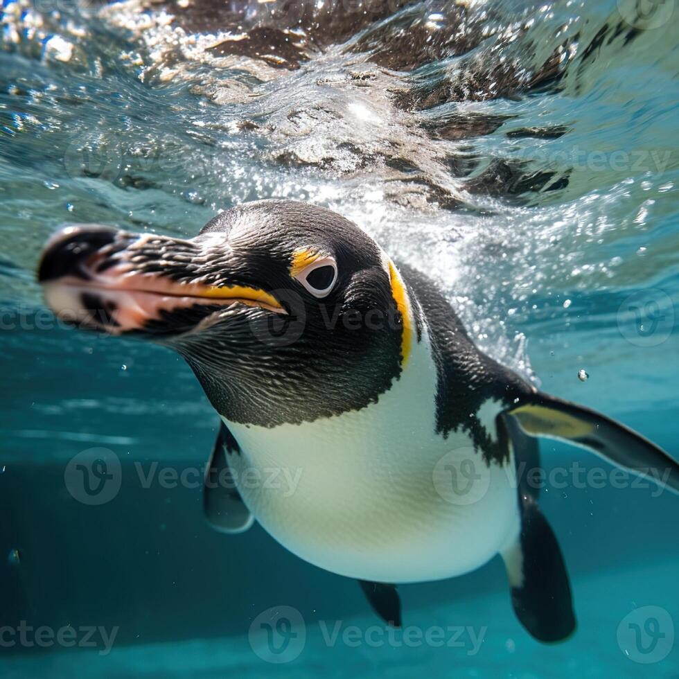 ai generado pingüino nada submarino. pingüino día foto