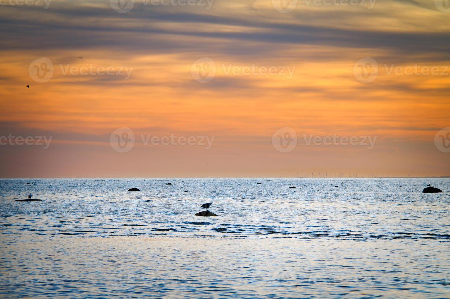 Sunset, illuminated sea. Sandy beach in the foreground. Light waves. Baltic Sea photo