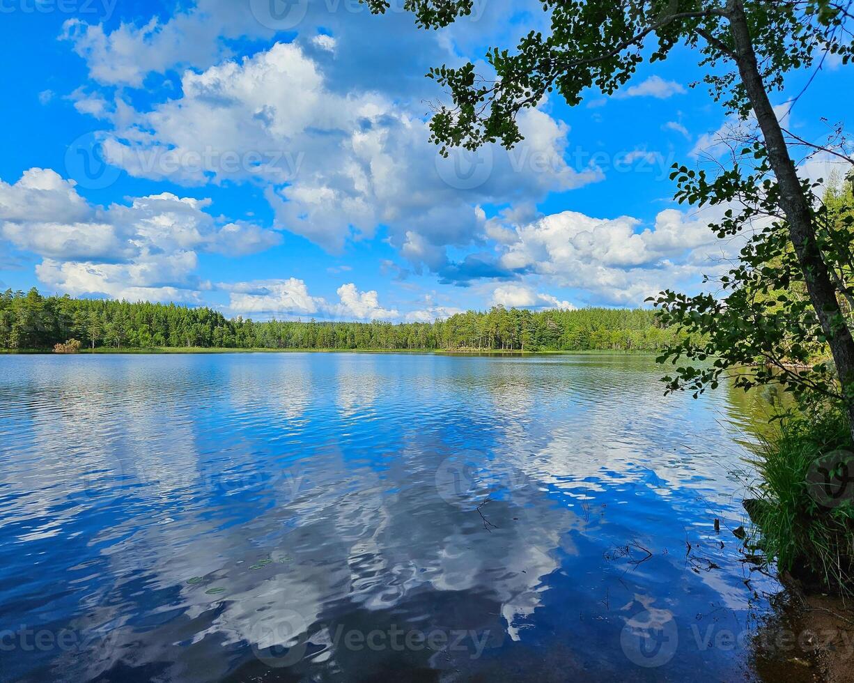 View of a lake in Smaland in Sweden. Blue water with light waves and reeds. photo