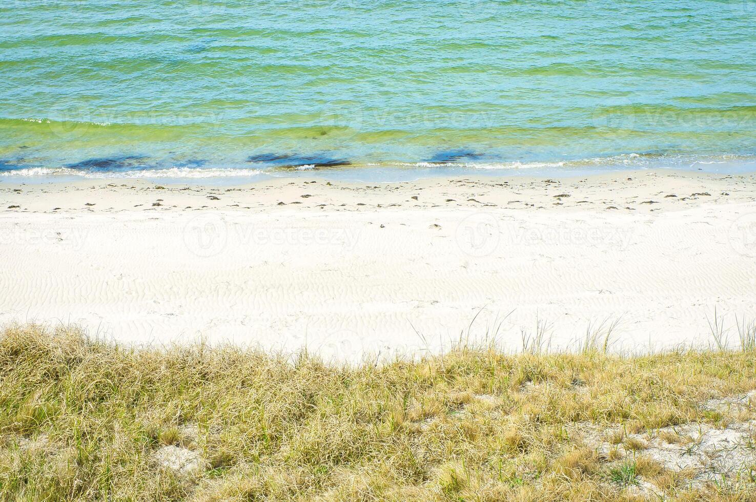 On the beach at Zingst. Dunes with dune grass in front of white sand and Baltic Sea photo
