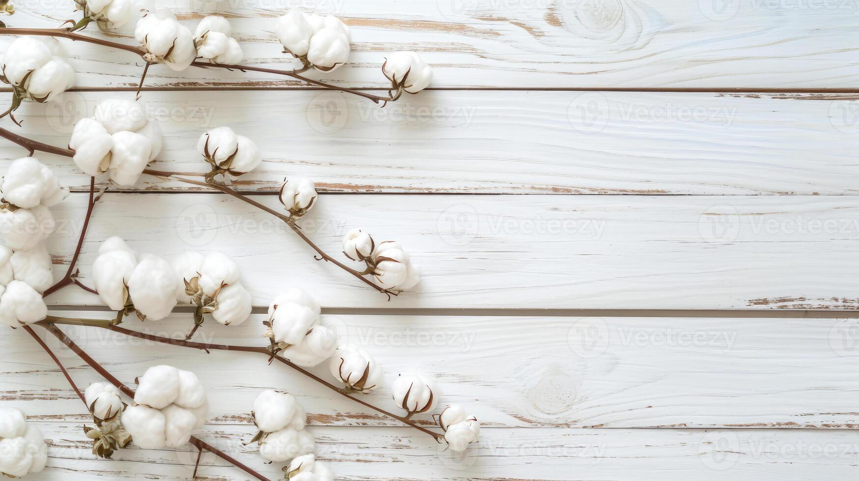 AI generated Cotton Bolls on Rustic White Wooden Background photo