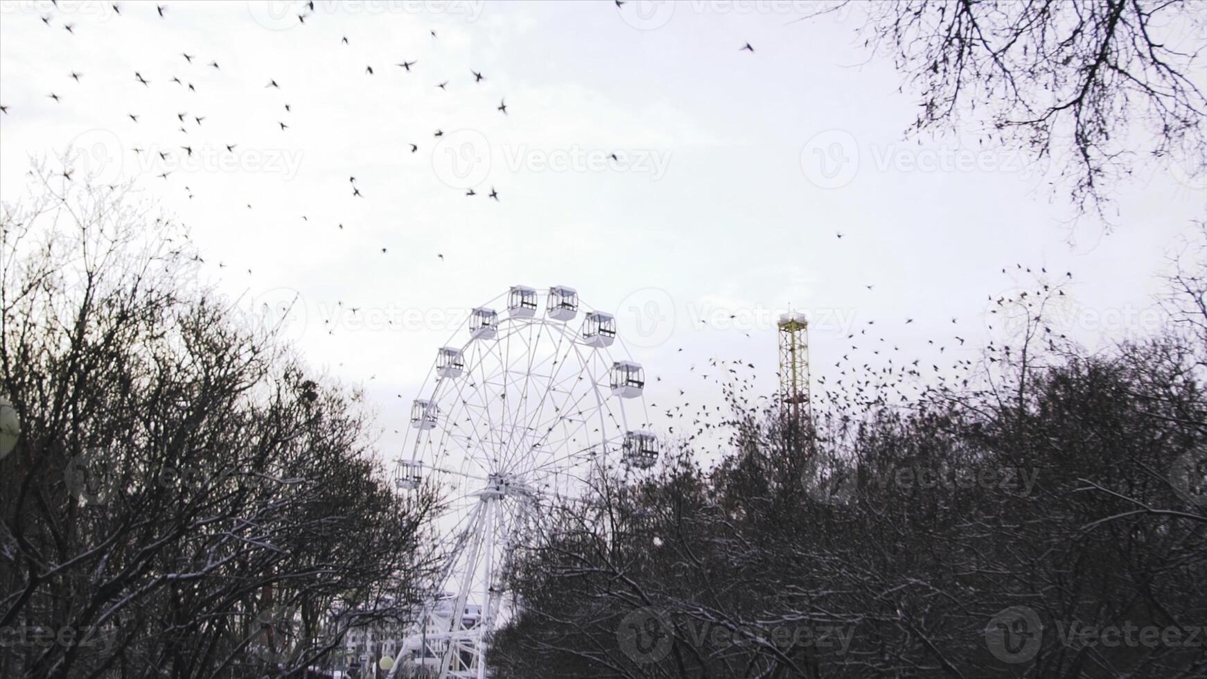 Motionless ferris wheel in the amusement park on grey sky background. Stock. Beautiful flock of birds flying away from the amusement park in autumn without people. photo