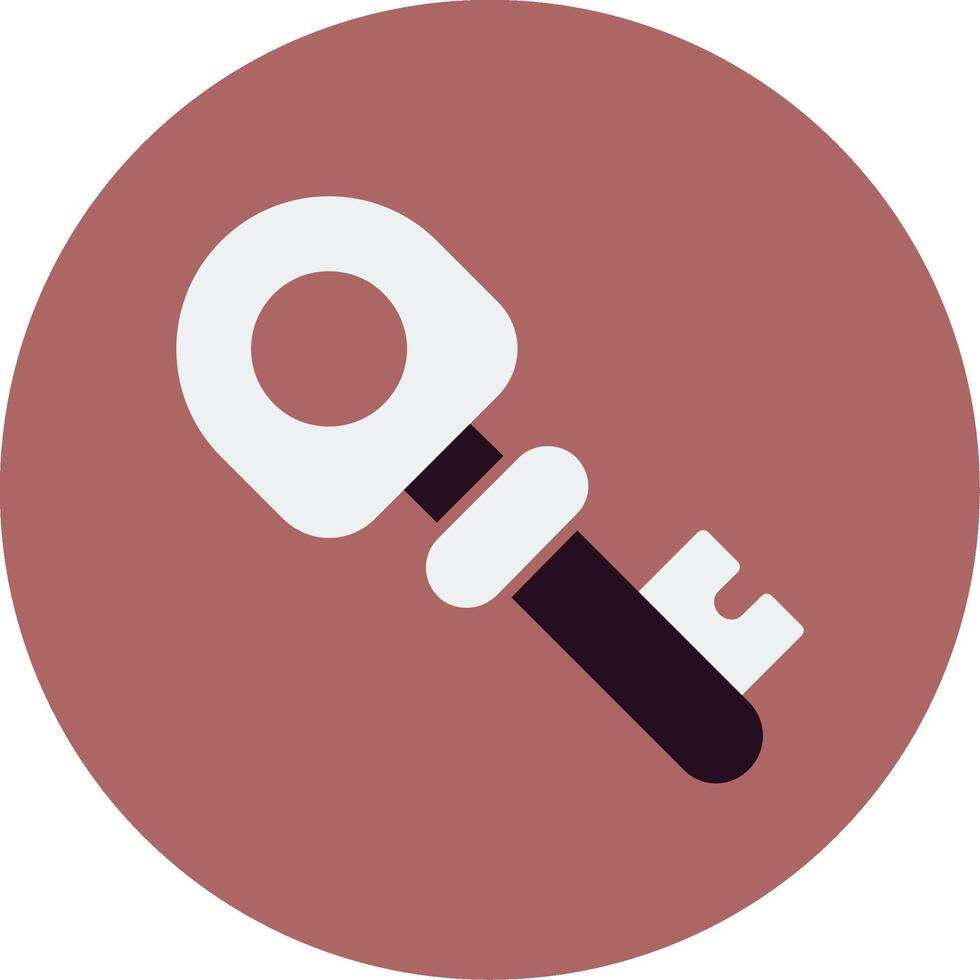 Key Vector Icon