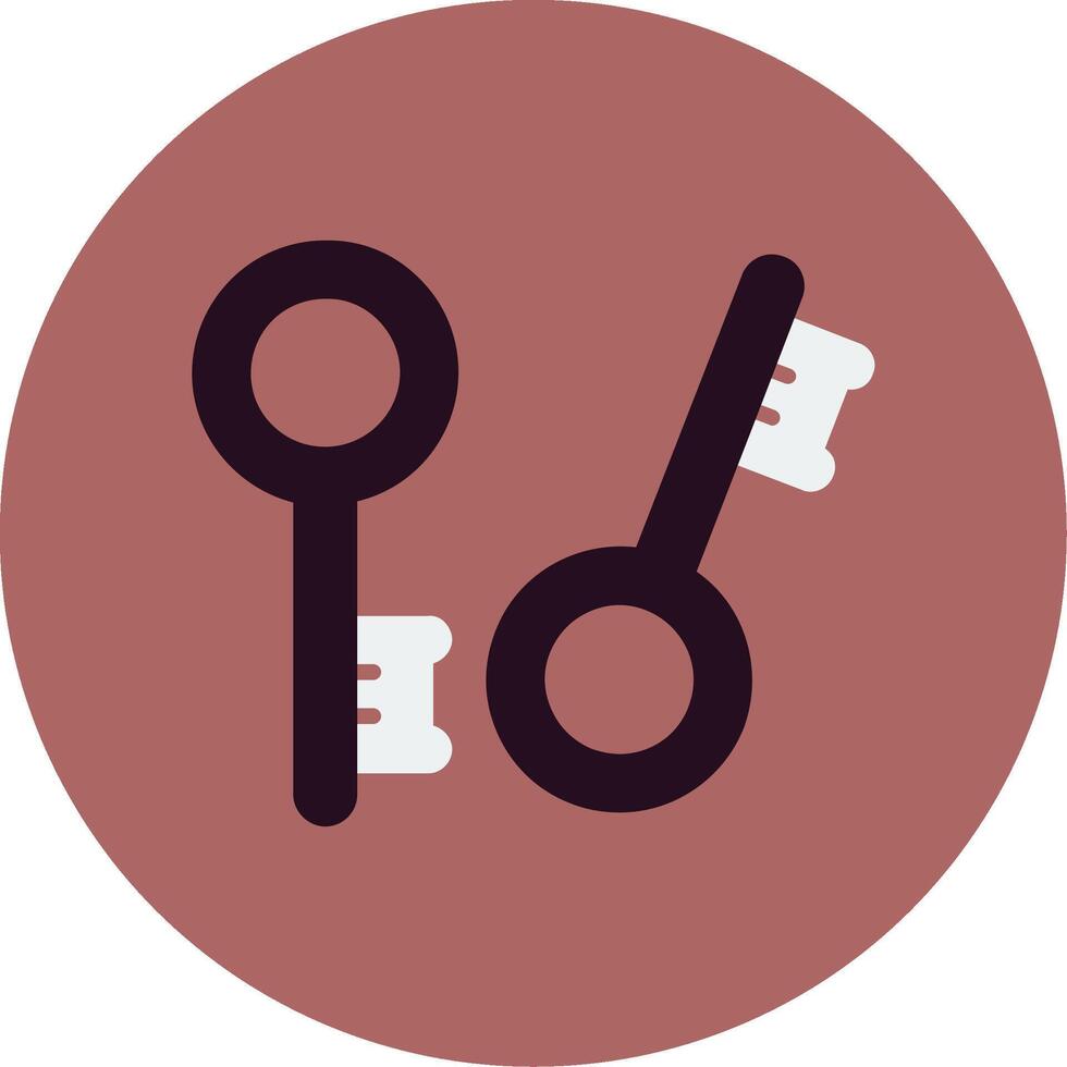 House Key Vector Icon