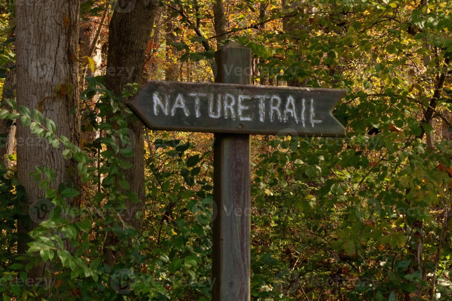 This trail marker has been paced at the beginning of the path. It is put here to make the entrance so hikers could find their way. The brown signage posted with white letters stating the title. photo