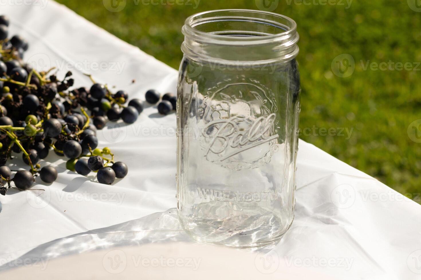 I love the look of these concord grapes spread out on the table with a white background. The deep purple orbs all over. The Ball jar out reminds you of canning or preserving your food. photo