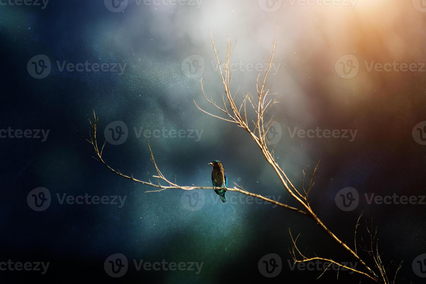 A bird on tree in rainfall with grain. photo