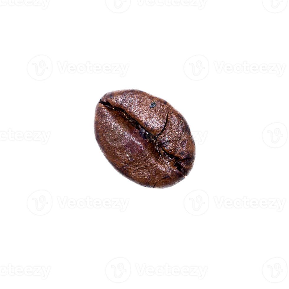 roasted coffee beans. photo