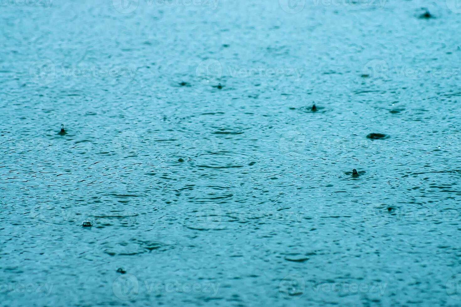 Surface water on a rainy day photo