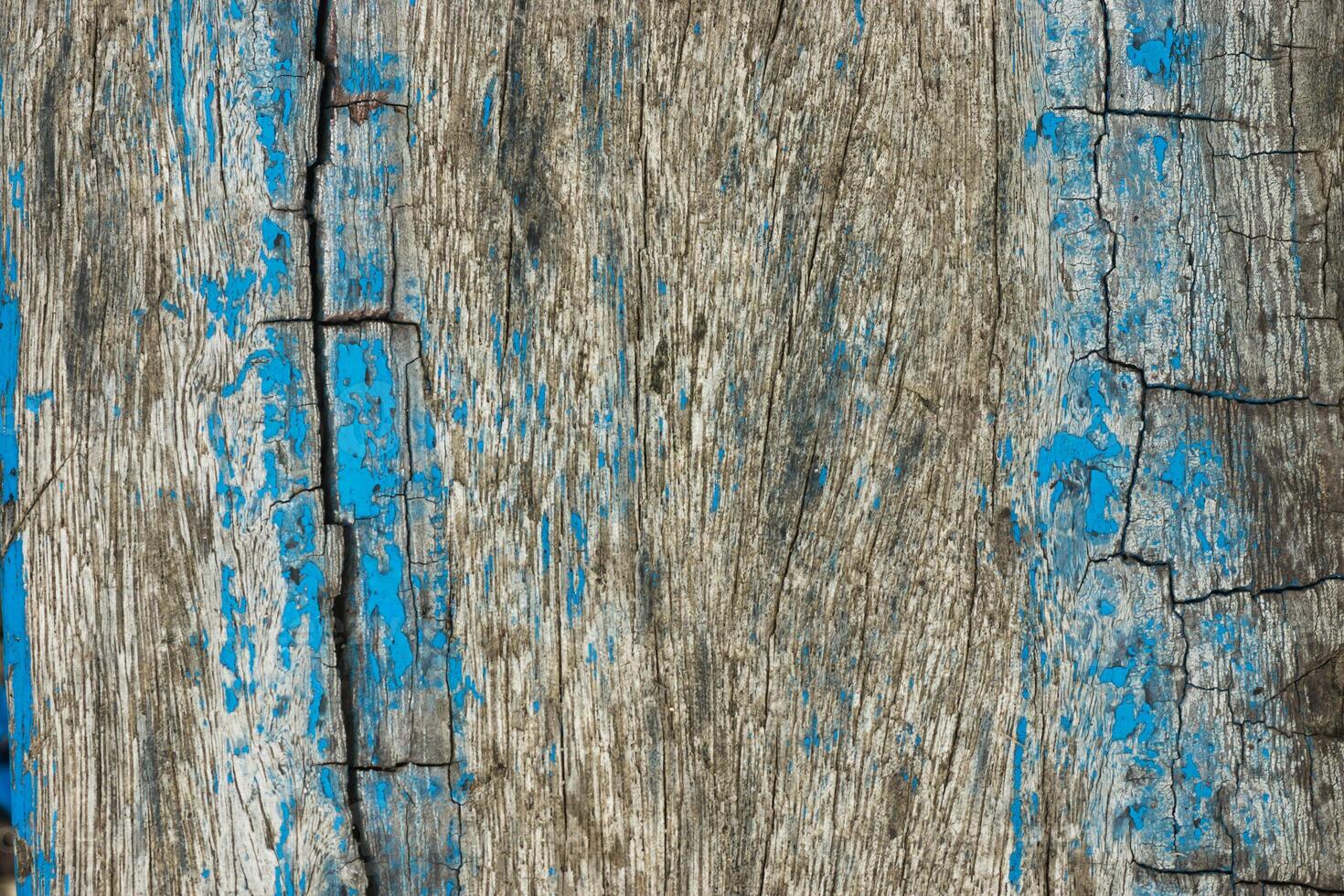 Old wood background with grunge. photo