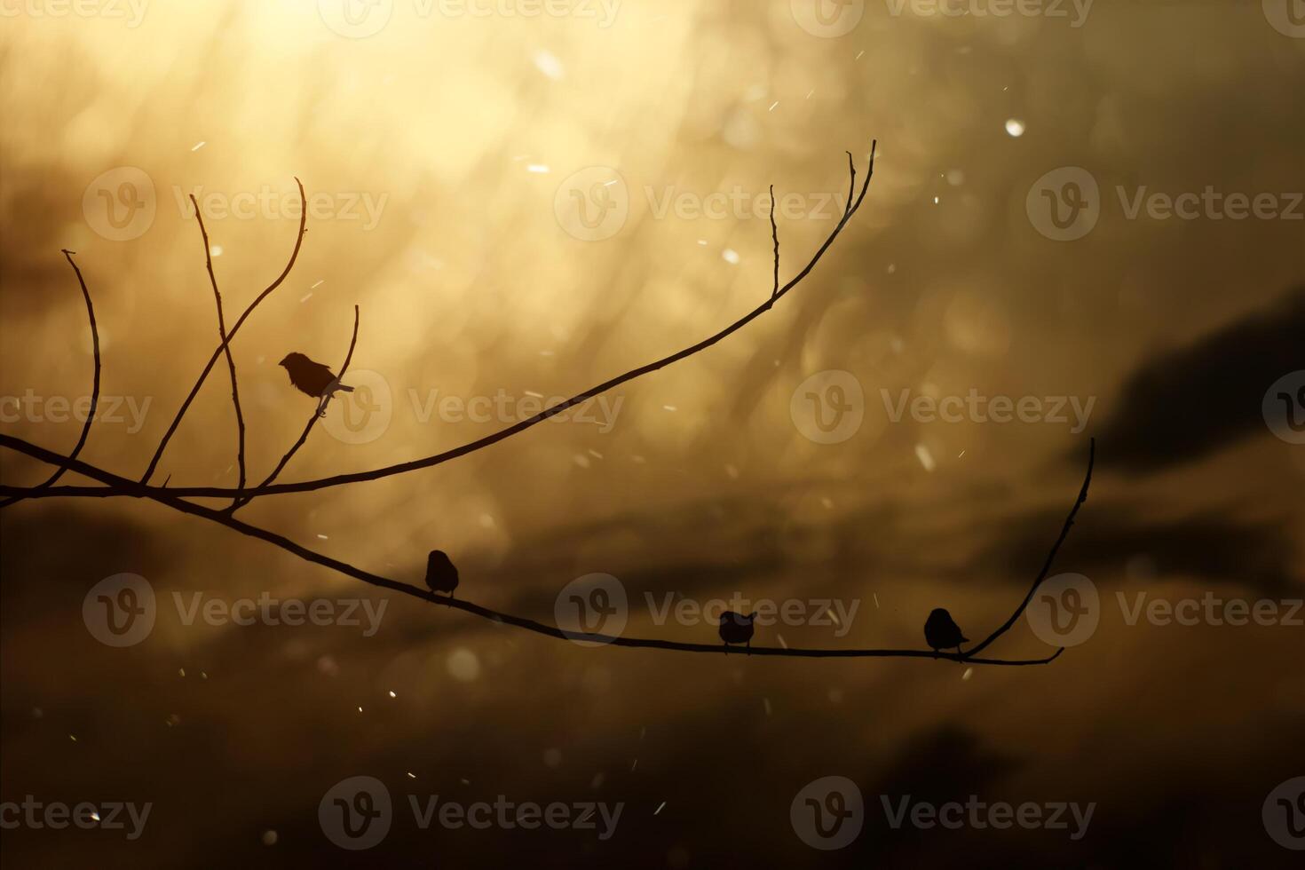 Black silhouette of a bird on a branch photo