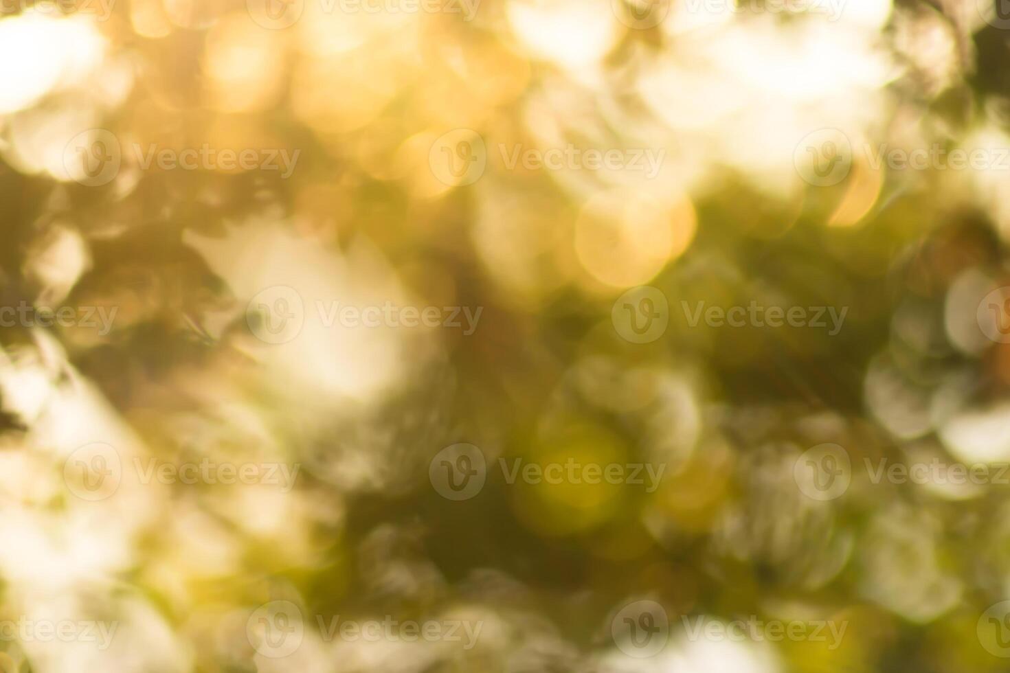 Abstract bokeh background with light. photo