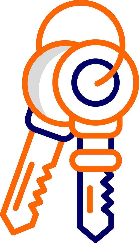 Keys Vector Icon
