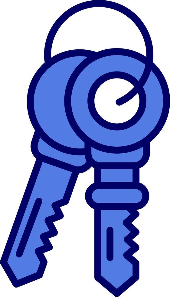 Keys Vector Icon