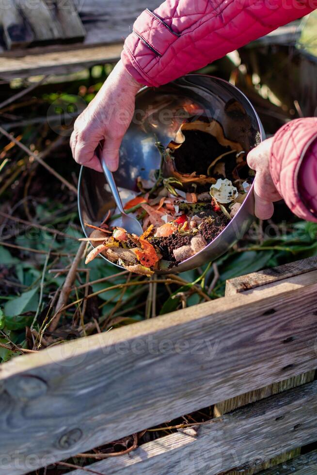 Person who put in a composter some kitchen waste like vegetables, fruits, eggshell, coffee grounds in order to sort and make bio fertilizer photo