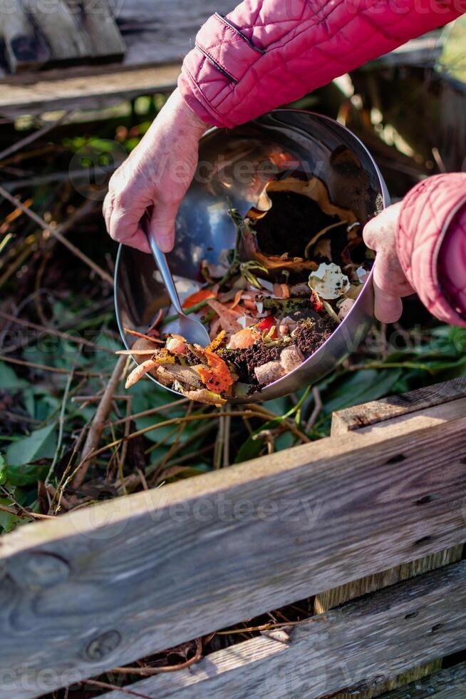 persona quien poner en un compostador algunos cocina residuos me gusta verduras, frutas, cáscara de huevo, café jardines en orden a ordenar y hacer bio fertilizante foto