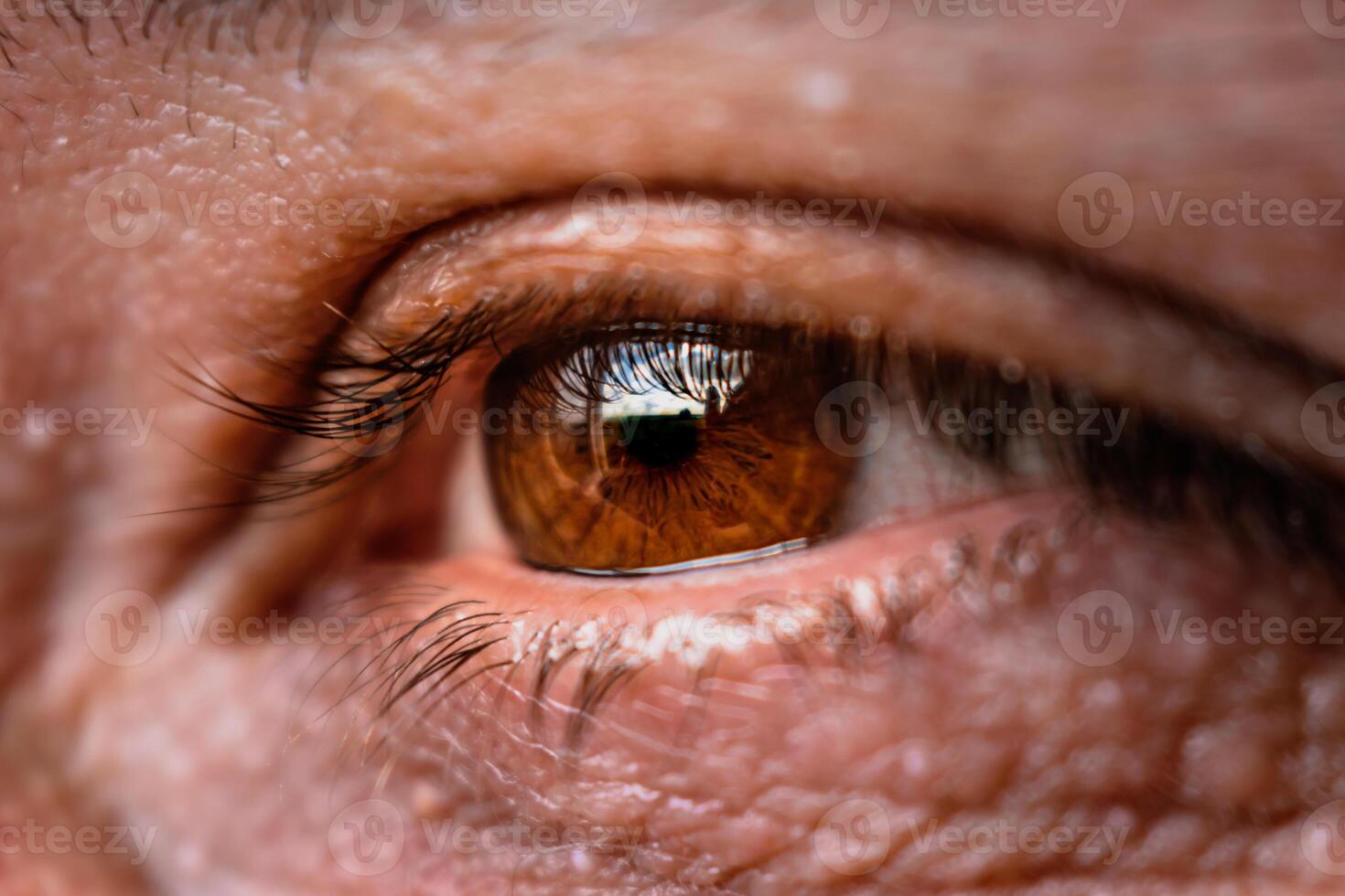 Brown eye with eyelash and hazel iris with a reflection of light photo