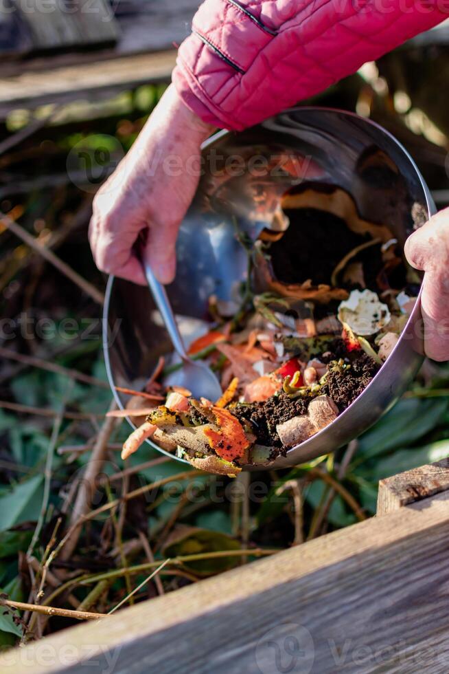 Person who put in a composter some kitchen waste like vegetables, fruits, eggshell, coffee grounds in order to sort and make bio fertilizer photo
