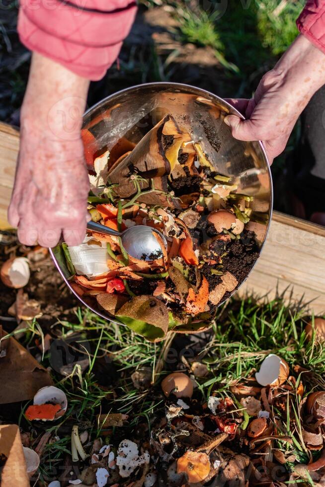 persona quien poner en un compostador algunos cocina residuos me gusta verduras, frutas, cáscara de huevo, café jardines en orden a ordenar y hacer bio fertilizante foto