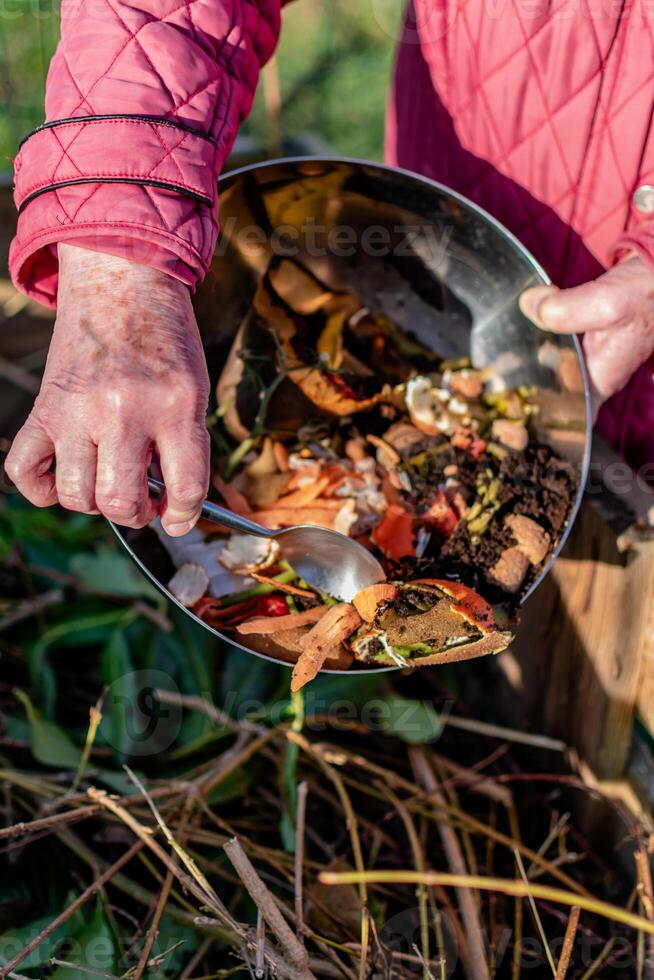 Person who put in a composter some kitchen waste like vegetables, fruits, eggshell, coffee grounds in order to sort and make bio fertilizer photo