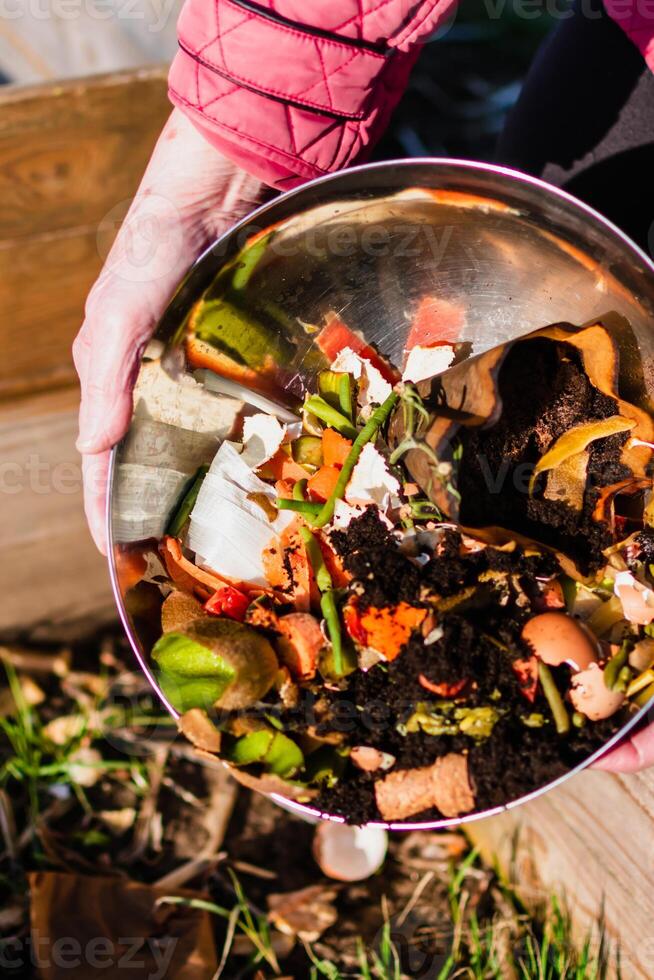 persona quien poner en un compostador algunos cocina residuos me gusta verduras, frutas, cáscara de huevo, café jardines en orden a ordenar y hacer bio fertilizante foto