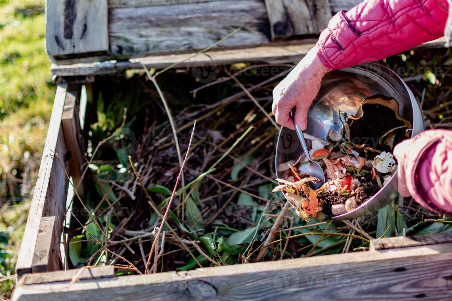 Person who put in a composter some kitchen waste like vegetables, fruits, eggshell, coffee grounds in order to sort and make bio fertilizer photo