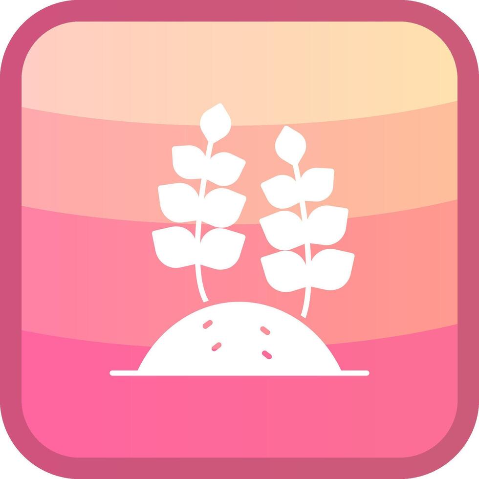 Wheat Glyph Squre Colored Icon vector