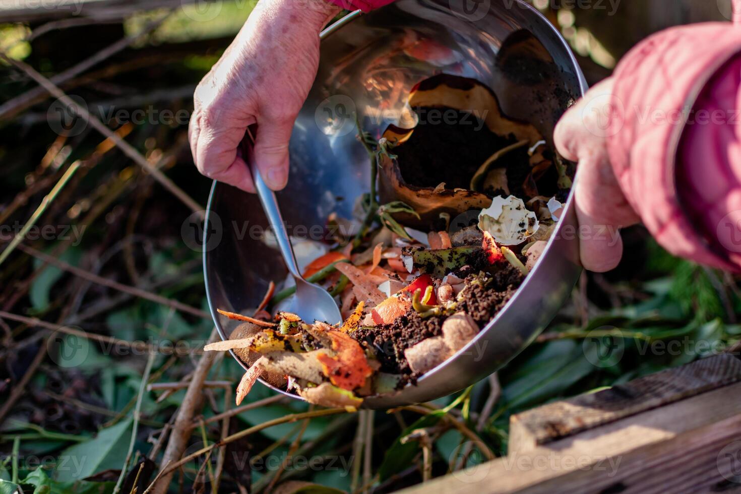 persona quien poner en un compostador algunos cocina residuos me gusta verduras, frutas, cáscara de huevo, café jardines en orden a ordenar y hacer bio fertilizante foto