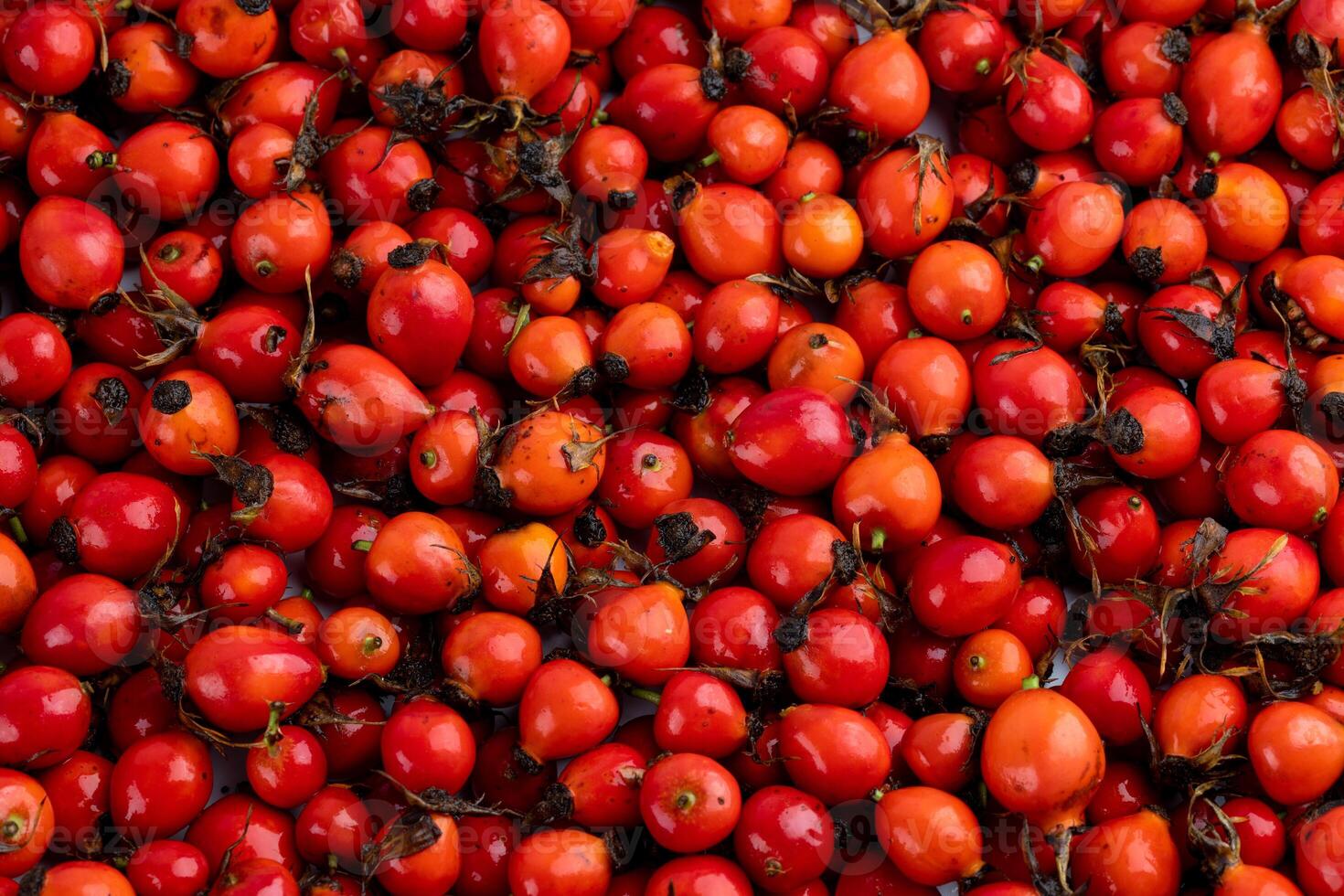 pila de rojo perro se levantó rosa mosqueta frutas lleno marco antecedentes y textura foto