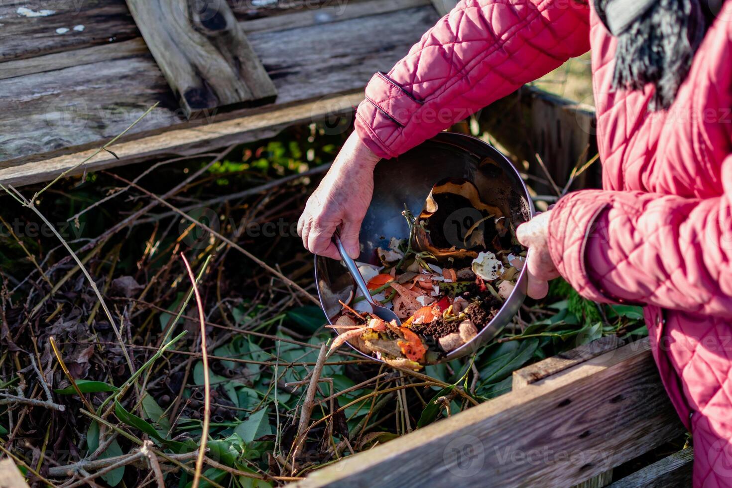 Person who put in a composter some kitchen waste like vegetables, fruits, eggshell, coffee grounds in order to sort and make bio fertilizer photo
