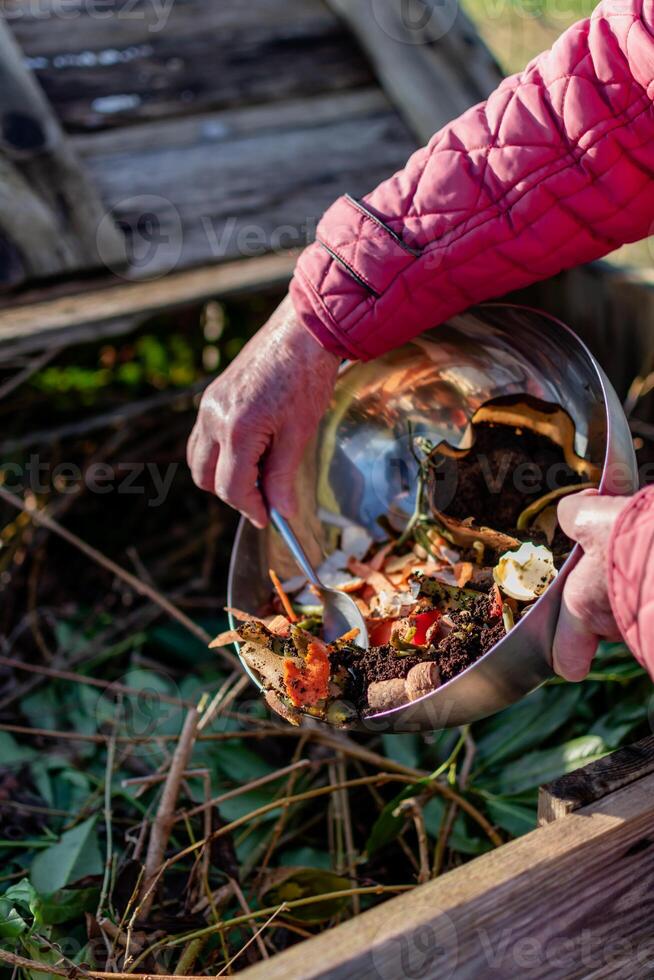 persona quien poner en un compostador algunos cocina residuos me gusta verduras, frutas, cáscara de huevo, café jardines en orden a ordenar y hacer bio fertilizante foto