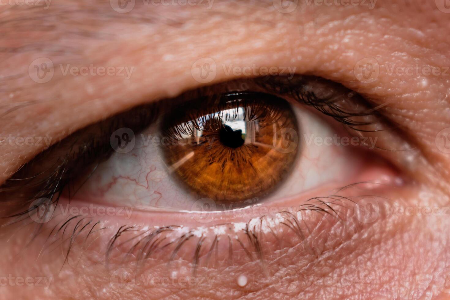 Brown eye with eyelash and hazel iris with a reflection of light photo