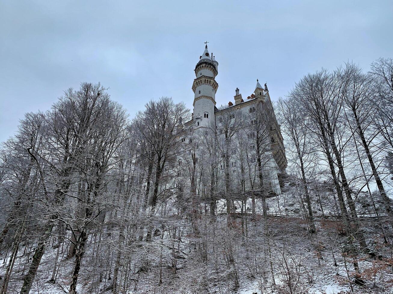 Neuschwanstein castle during winter time. Photographed from below. photo